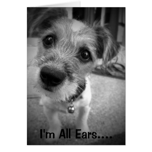 Yes Master, I'm All Ears Cards (Front)