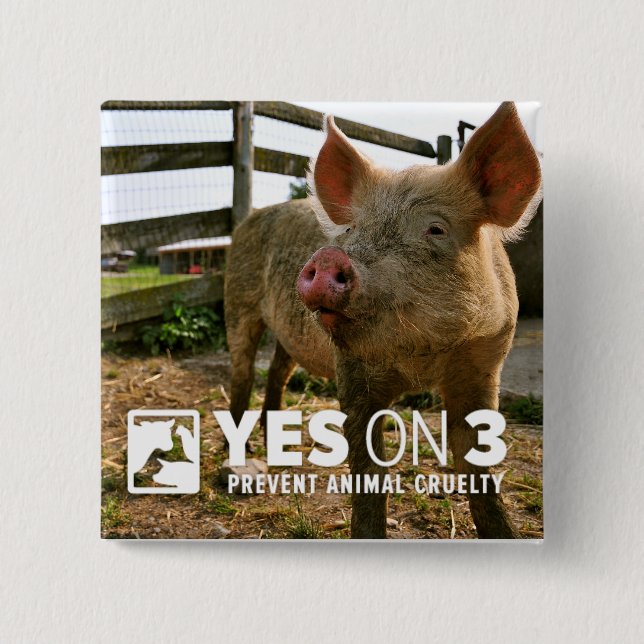 Yes on 3! Mini Button (Front)