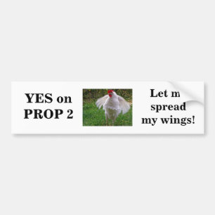 Yes on Proposition 2 - Bumper Sticker