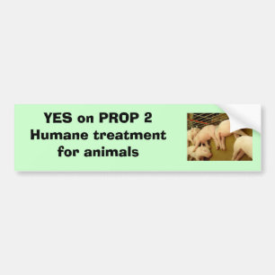 Yes on Proposition 2 - Bumper Sticker