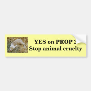 Yes on Proposition 2 - Bumper Sticker