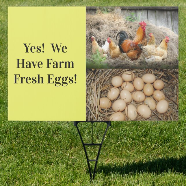 Yes!  We Have Farm Fresh Eggs!   Sign!   Sign (Insitu)
