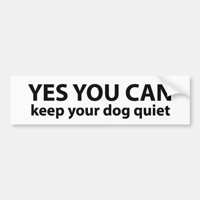Yes, You Can ---Bumper Sticker (Front)
