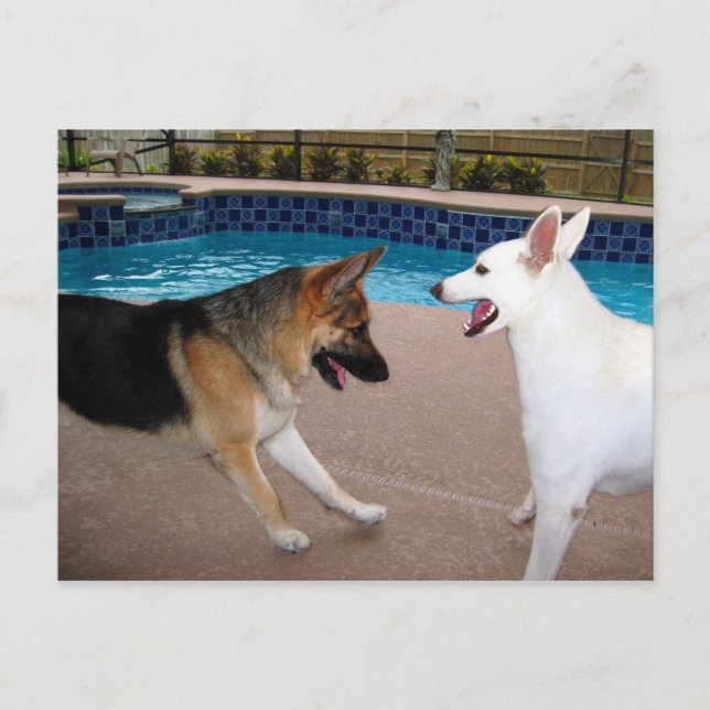 Yes Your Majesty ~ Postcard (Front)