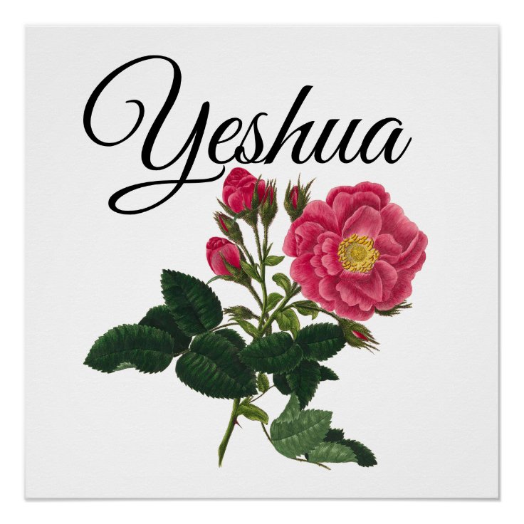 Yeshua God Pink Rose Poster | Zazzle