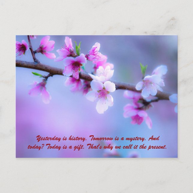 Yesterday is history. Tomorrow is a mystery. And t Postcard (Front)