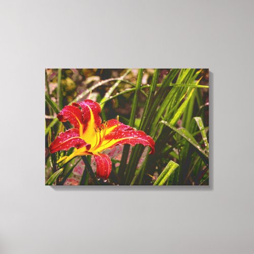 Yesterday Lily After The Rain Canvas Print