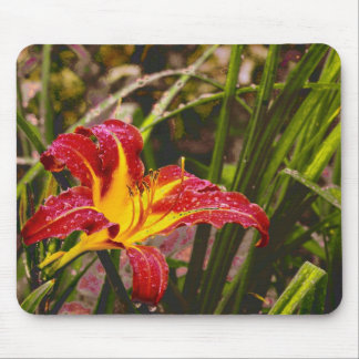 Yesterday Lily After The Rain Mouse Pad