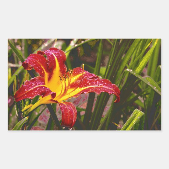 Yesterday Lily After The Rain Rectangular Sticker (Front)