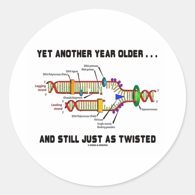 Yet Another Year Older Still Just As Twisted DNA Classic Round Sticker (Front)