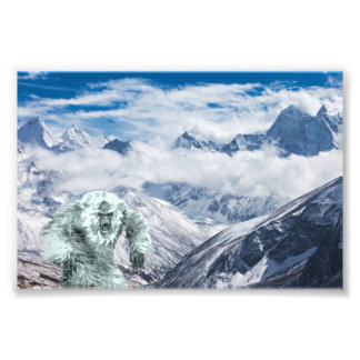 Yeti Photo Print
