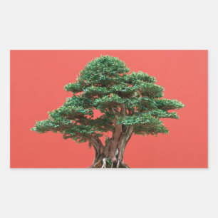 Yew bonsai rectangular sticker