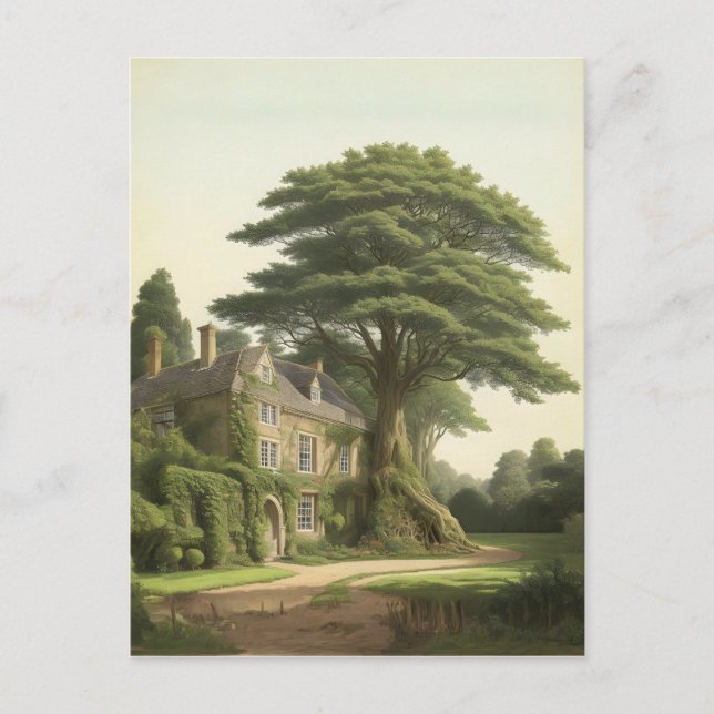 Yew tree by english country house postcard (Front)