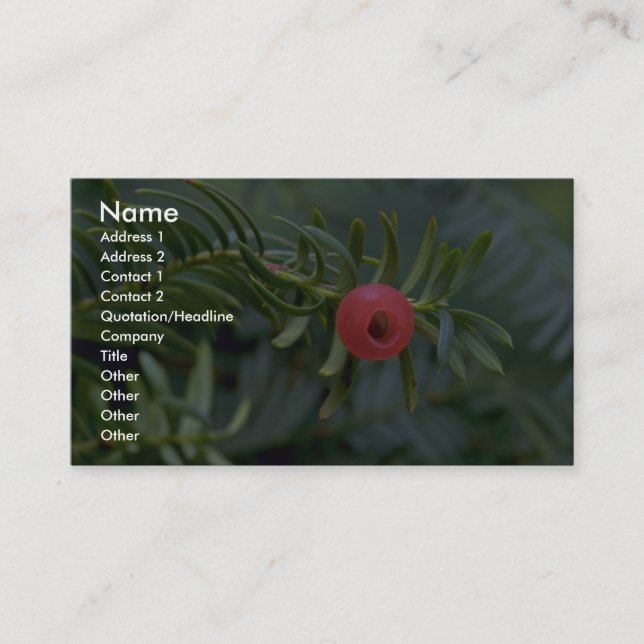 Yew tree fruit (taxus brevifolia) business card (Front)