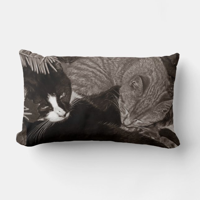 Yin Yang Cats Lumbar Pillow (Front)
