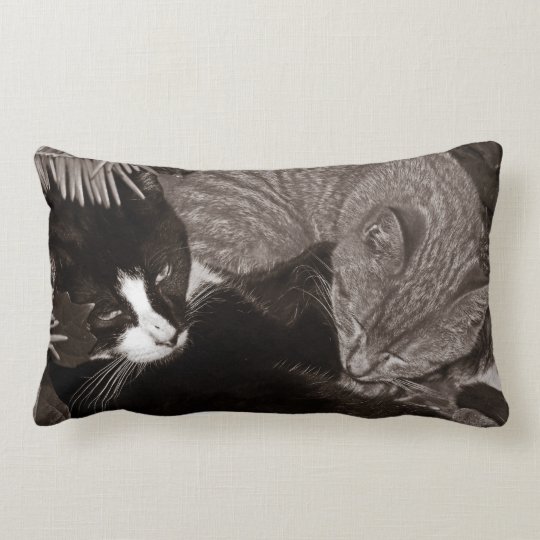 yin yang cat pillow