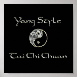 Yin Yang Chrome, Yang Style Chrome, tai chi chrome Poster