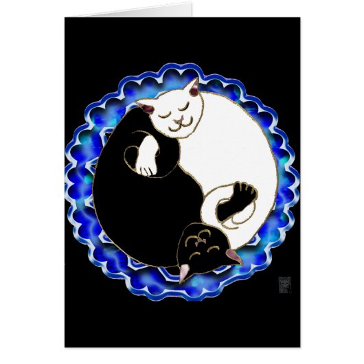 yin yang kittens cards (Front)