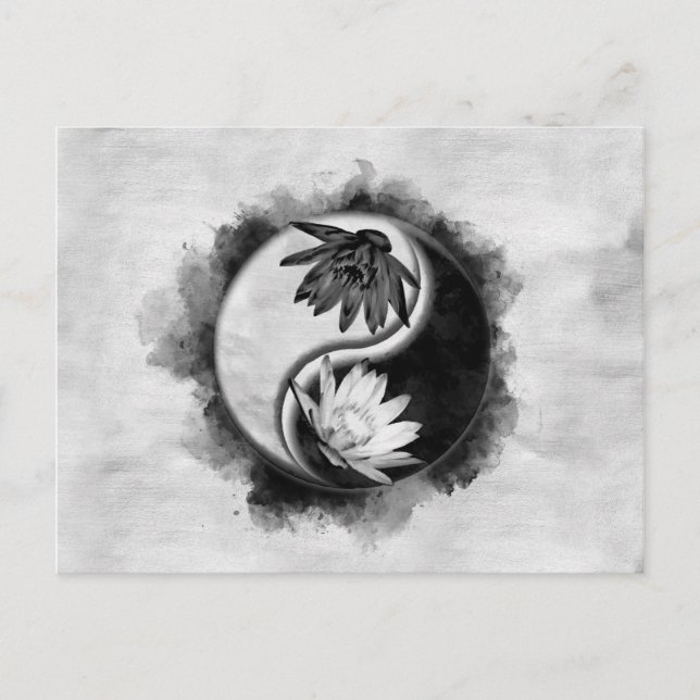 Yin Yang - Lotus flowers Postcard (Front)