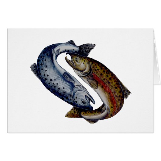 Yin Yang Salmon Fish Cards (Front Horizontal)