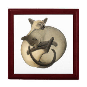 Yin Yang Siamese Cats Gift Box