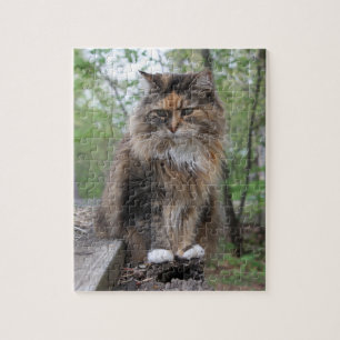 Yipper Cat Photography Cherie's Art(c)2020 Jigsaw Puzzle