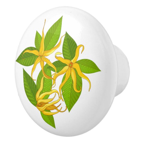 Ylang Ylang Exotic Scented Flowers Ceramic Knob