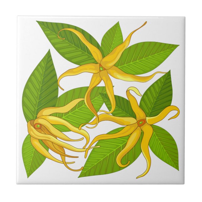 Ylang Ylang Exotic Scented Flowers Ceramic Tile (Front)
