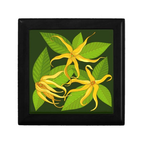 Ylang Ylang Exotic Scented Flowers Gift Box