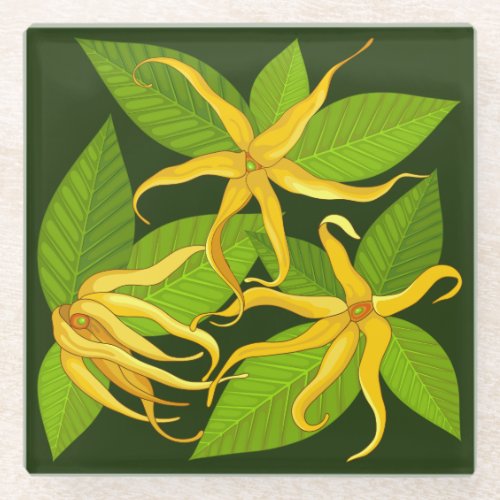 Ylang Ylang Exotic Scented Flowers Glass Coaster