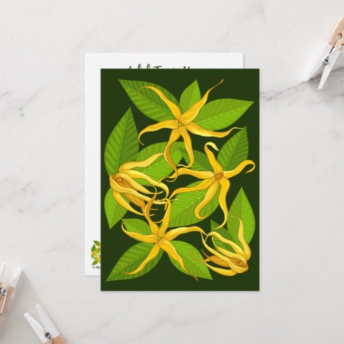 Ylang Ylang Exotic Scented Flowers Invitation