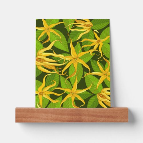 Ylang Ylang Exotic Scented Flowers Picture Ledge