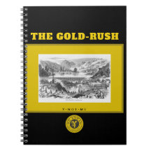 YNOTME THE GOLD-RUSH 3