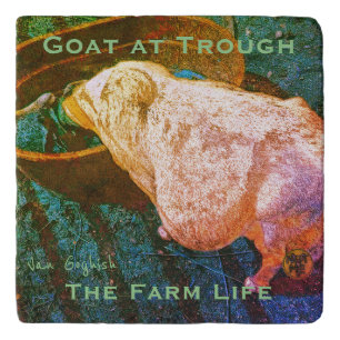 YNOTME VAN GOGHISH GOAT AT TROUGH2a Trivet