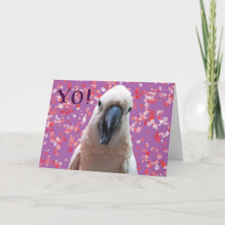 YO! CARD