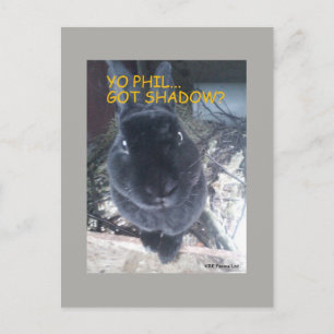Yo Phil, Got Shadow - Postcard