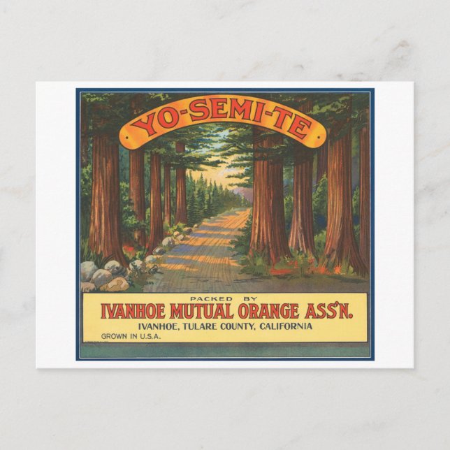 YO-SEMI-TE Vintage Fruit Crate Label Postcard (Front)
