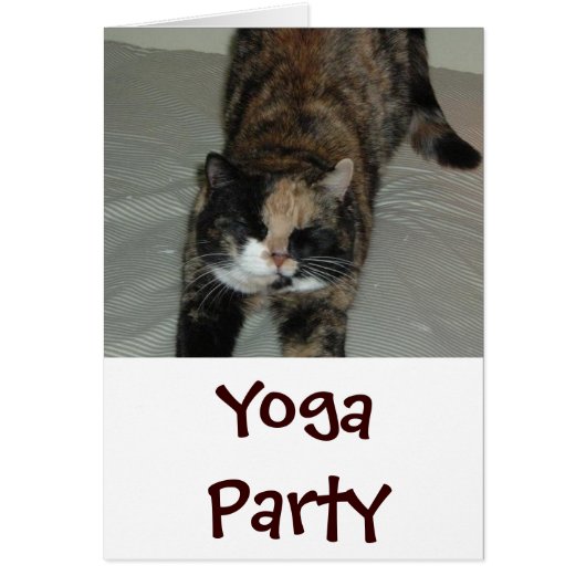 Yoga Cat Cards (Front)