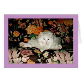 Yoga Cat Cards