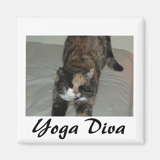 Yoga Cat Magnet (Front)