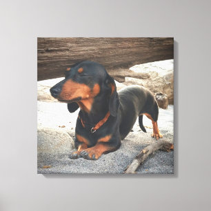 Yoga dog canvas print