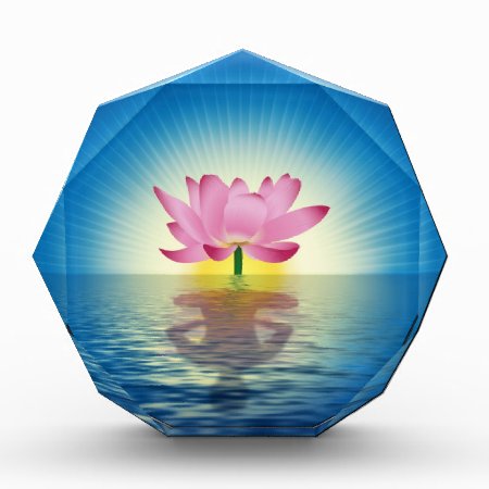 Yoga Lotus Award