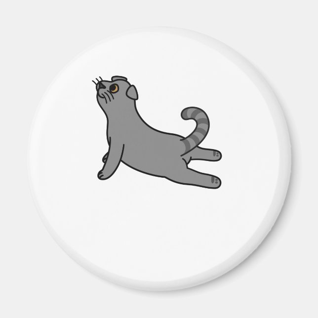 Yoga Pose Scottish Fold Cat Magnet (Front)