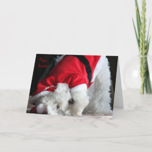 Yoga Santa Holiday Card