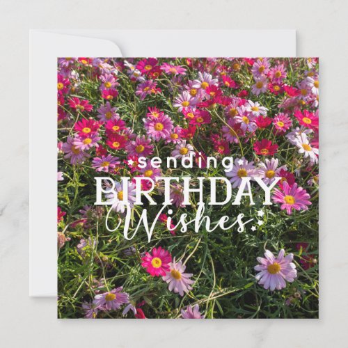 Yoga sending birthday wishes pink cosmos flowers holiday card