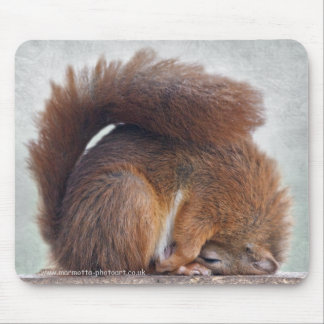 Yoga Squirrel Mousemat Mouse Pad