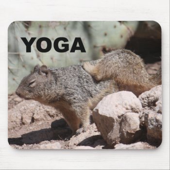 Yoga Squirrel Mousepad by poozybear at Zazzle