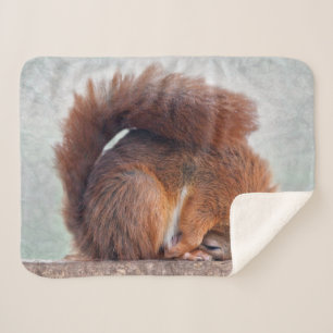 Yoga Squirrel Sherpa Blanket