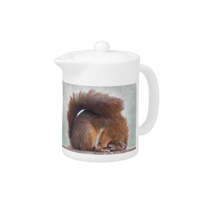 Yoga Squirrel Teapot