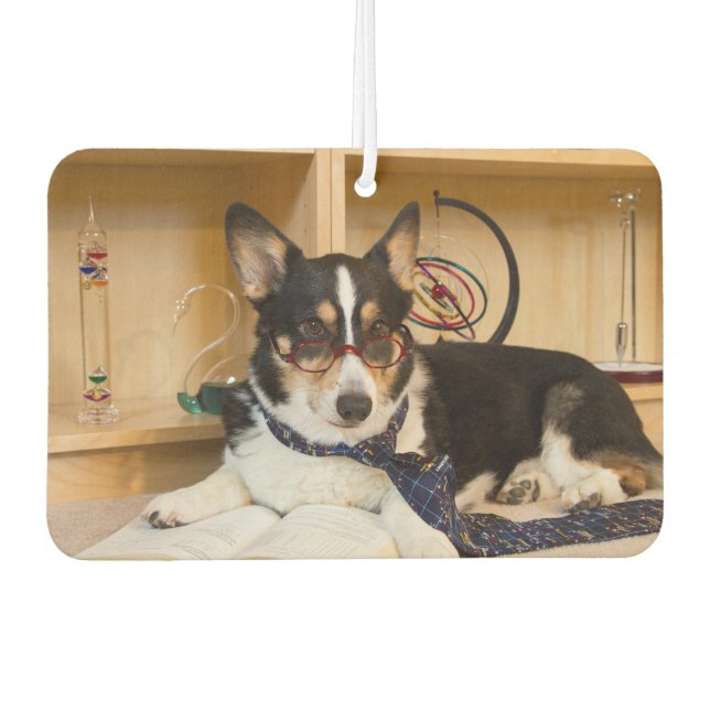 Yogi the Science Dog Air Freshener (Front)